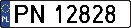 PN12828