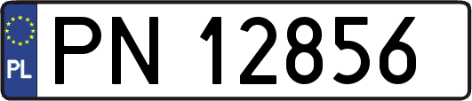 PN12856