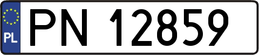 PN12859