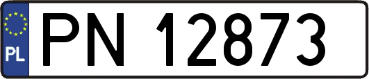 PN12873