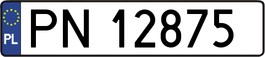 PN12875