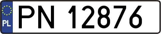 PN12876