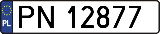 PN12877