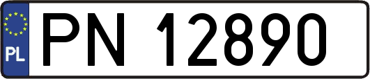 PN12890