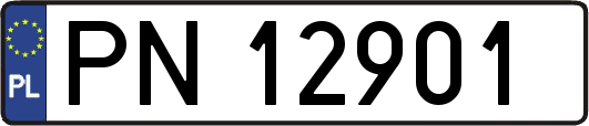 PN12901