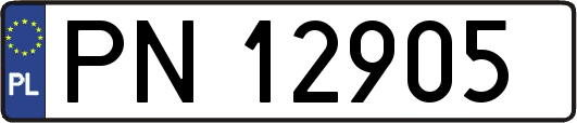 PN12905