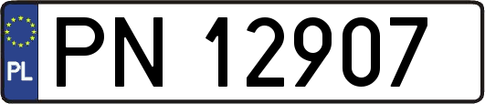 PN12907