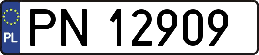 PN12909