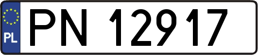 PN12917