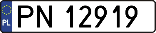 PN12919