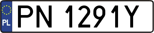 PN1291Y