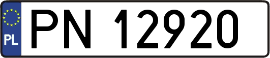 PN12920