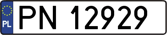 PN12929