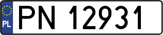 PN12931