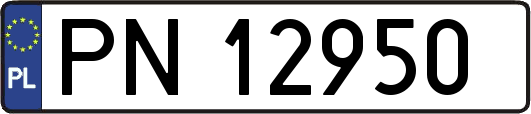 PN12950