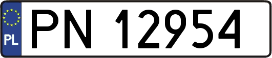 PN12954