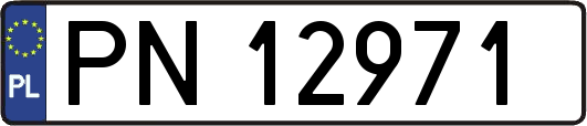 PN12971