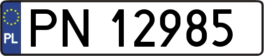 PN12985