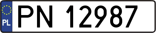 PN12987