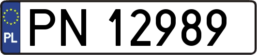 PN12989