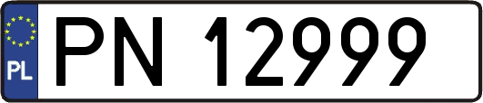 PN12999