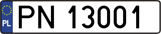 PN13001
