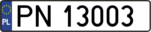 PN13003