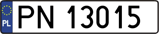PN13015