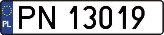 PN13019