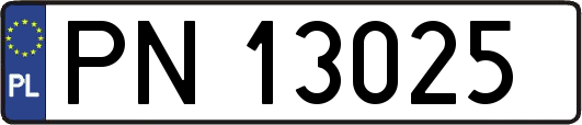 PN13025