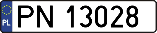 PN13028