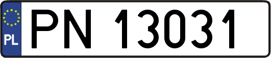 PN13031