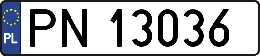 PN13036