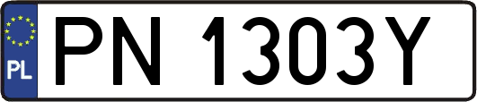 PN1303Y