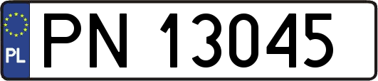PN13045