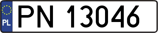 PN13046