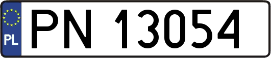 PN13054