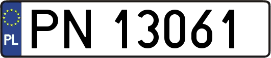 PN13061