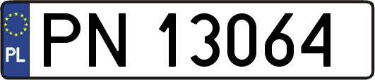 PN13064