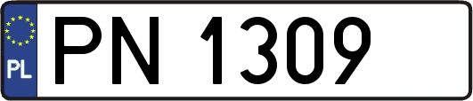 PN1309