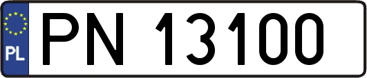 PN13100