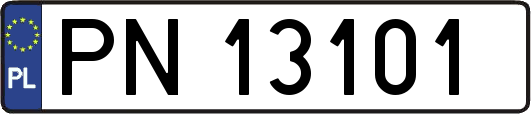 PN13101