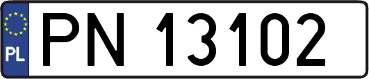 PN13102