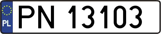 PN13103