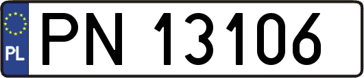 PN13106