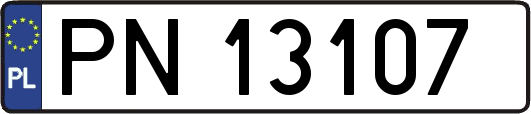 PN13107