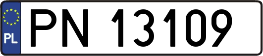 PN13109