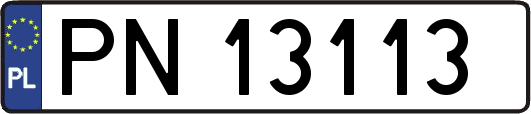 PN13113