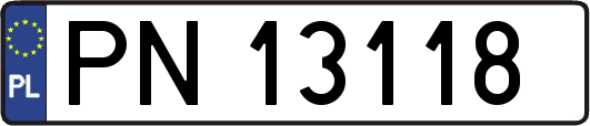 PN13118