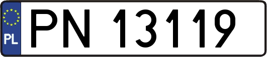 PN13119